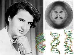 Rosalind Franklin