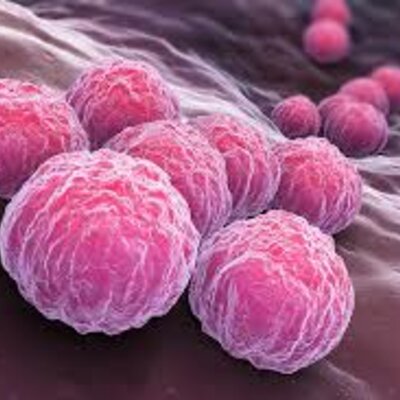 Timeline: Historia de la Biología Molecular