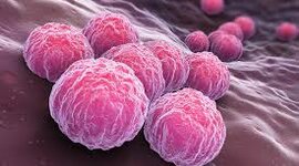 Timeline: Historia de la Biología Molecular