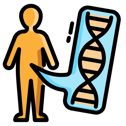 Proyecto del genoma humano