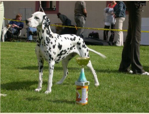 Heart Of Bad & Mad In Raul