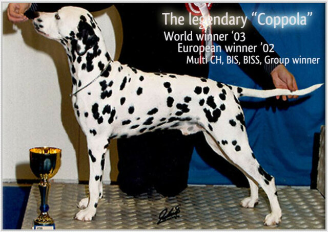 Lacrima Christi Coppola