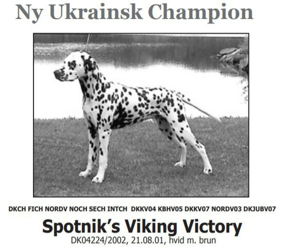 Spotnik's Viking Victory