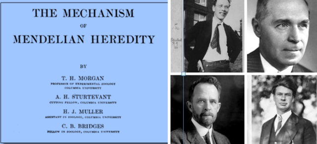 Se publica "El mecanismo de la herencia mendeliana"