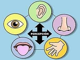 Jacob Robert Kantor ¨Sugerencias hacia una interpretación científica de la percepción¨