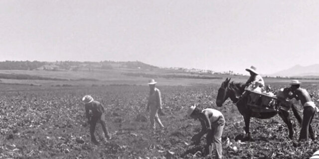 Plan de protección y desarrollo de la agricultura