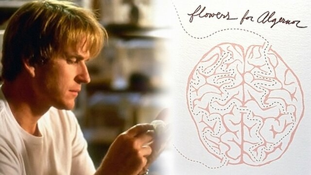 Charlie's Intelligence surpasses the Scientists