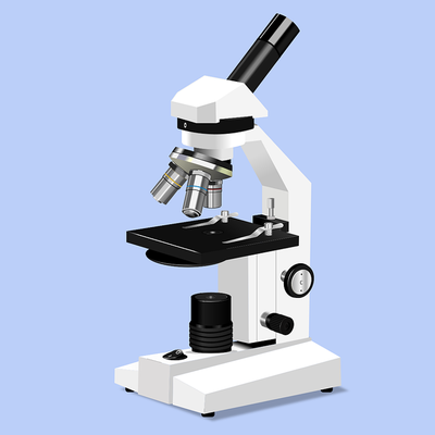 Timeline: evolución y historia del microscopio