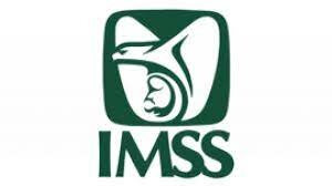 Creación del Instituto Mexicano del Seguro Social (IMSS).