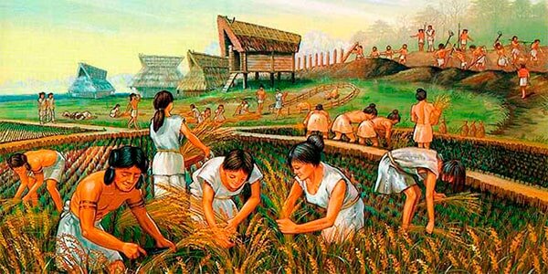 Desarrollo Agrícola