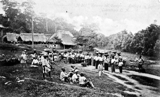 Justo Rufino Barrios fomentó la exportación de café