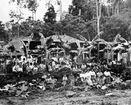 Manejo de Fincas guatemaltecas por alemanes.