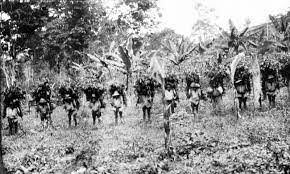 Sociedades de plantaciones en Hamburgo