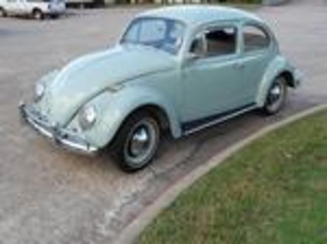 1964 beetle