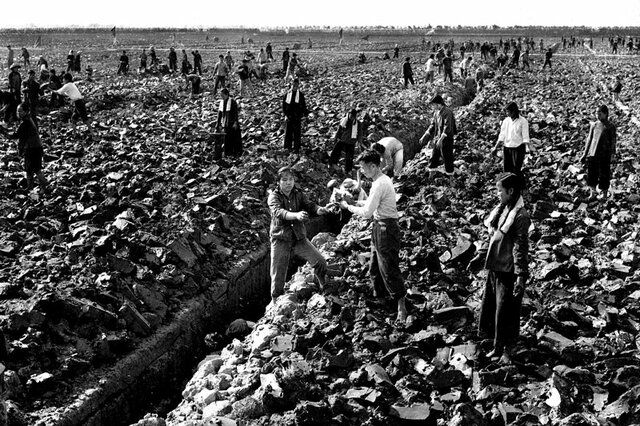 Ley Fomento Agrícola