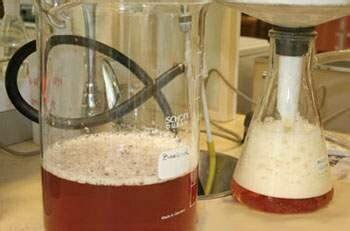 Fermentación Egipto