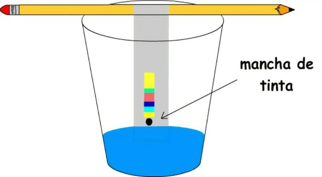 Cromatografía Mikhail Tsveri