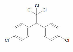DDT Herman Muller