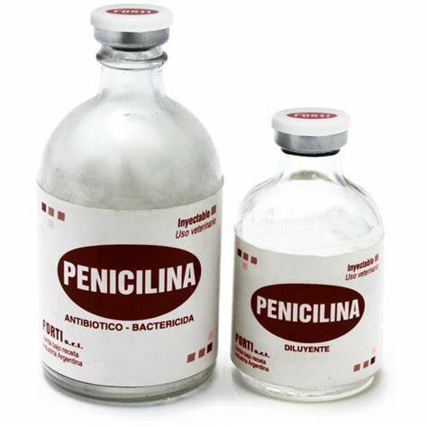 Penicilina antibiótica Sir Alexander Flemming