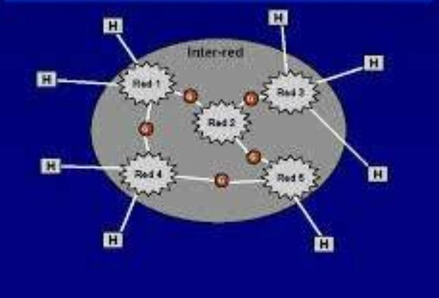 Redes propietarias e interredes: 1972-1980