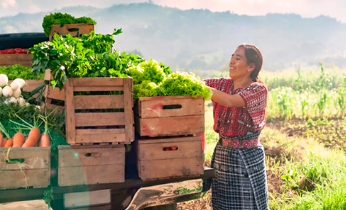 Estado de la agricultura