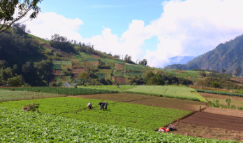 Reglas para las tierras