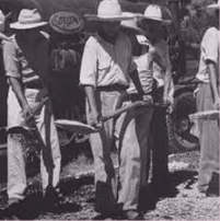 ayuda a los productores a obtener trabajadores