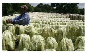 1910 - 1913 Panorama economico