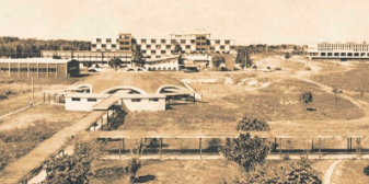 Reforma Universitaria