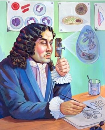 Descubrimiento de la vida microscópica