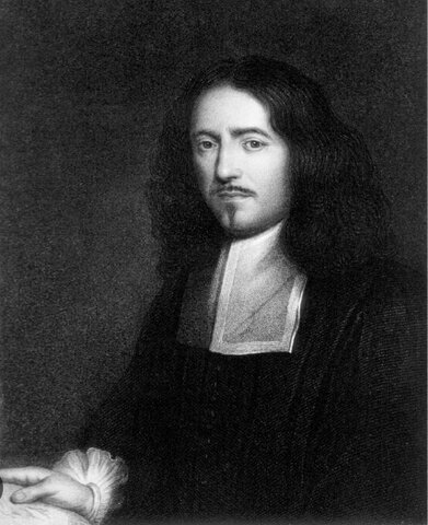 Confirmación de la existencia de células en tejidos vegetales