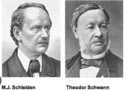 Orígen de la tería celular