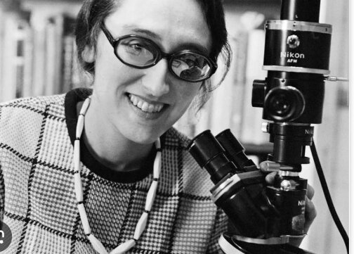 Teoría endosimbiótica