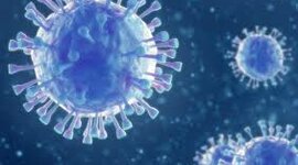 Timeline: Historia del COVID-19