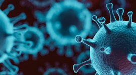 Timeline: Historia del COVID-19