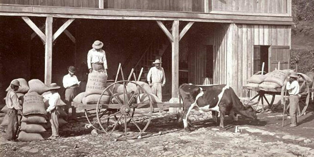 El café guatemalteco gana el premio único en la exposición de San Francisco
