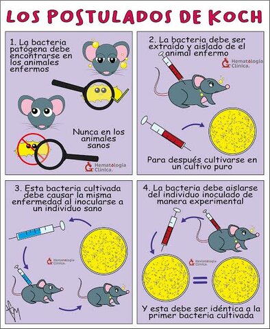 Postulados de Koch
