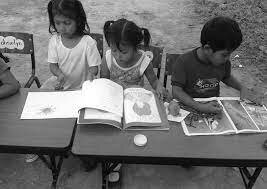 Consejo Nacional de Fomento Educativo (CONAFE).