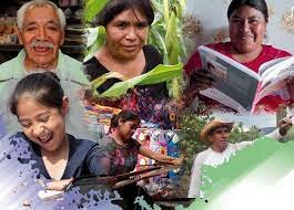 Creación de Programa de Educación Salud y Alimentación (PROGRESA).