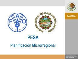 Programa Especial para la Seguridad Alimentaria (PESA).
