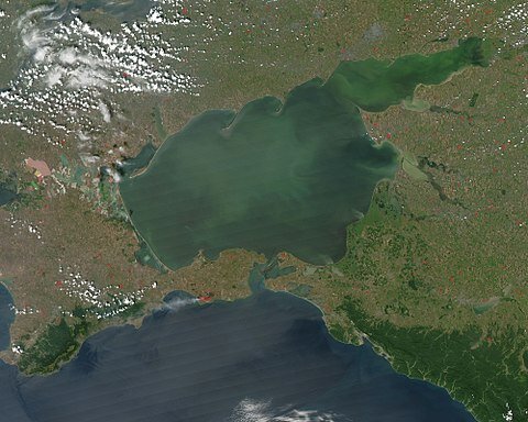 La alianza con Austria