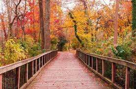 descubro mi camino de vida