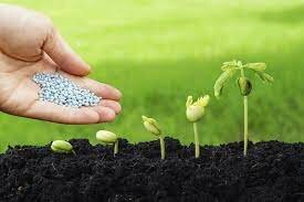 Mejorar para cumplir mis sueños