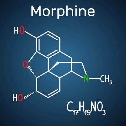 Estructura de la morfina Rober Robinson