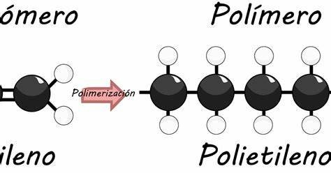 Polimerización William Carothers