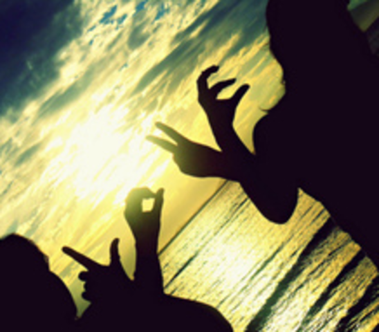 Yo mostré a mis amigas unos zapatos en el centro de comercial en julio en dos mil once.