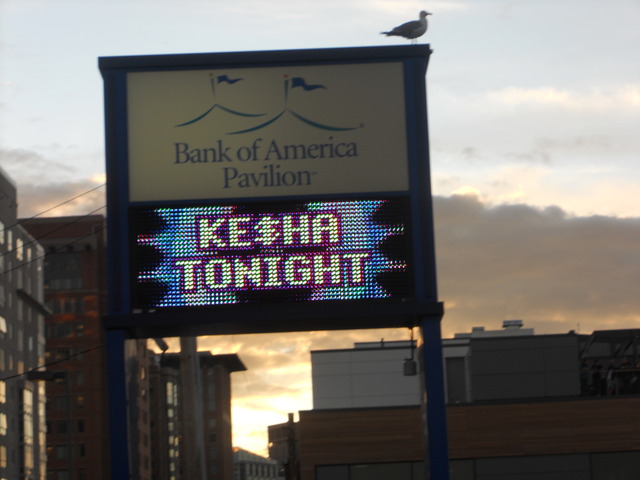 Yo ví Kesha en concierto en junio en dos mil once.