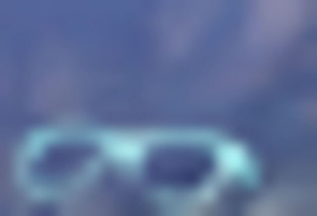 Yo compré unas gafas de sol en junio en dos mil once.