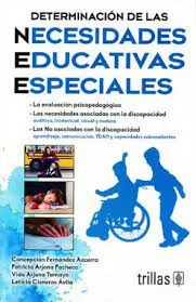 IMPLEMENTACION DE LA CONCEPCION- NEE
