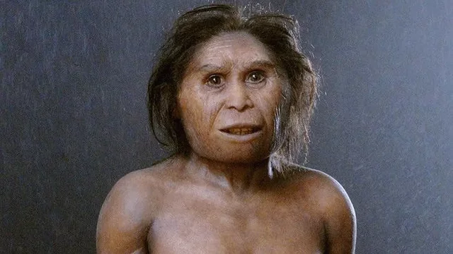 13.000 a.C. Desaparición de los humanos enanos de la isla de flores